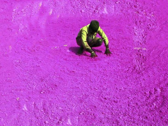 a-worker-dries-coloured-powder-for-holi-in-gurgaon-india