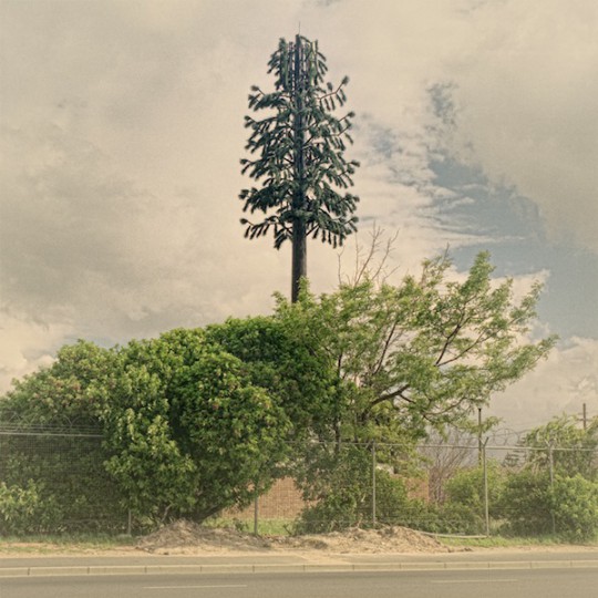 5-Cellphone-Towers-Disguised-as-Trees