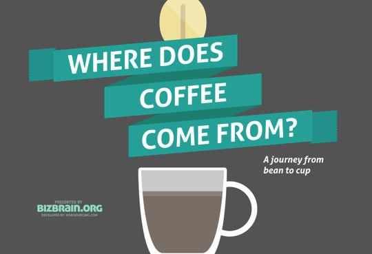 Coffees Journey infographic