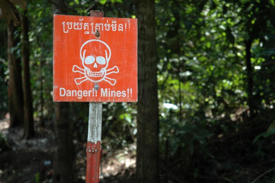 Sign_DangerMines_Large