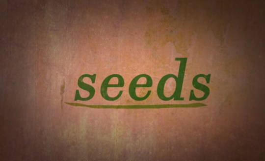Seeds through google glass