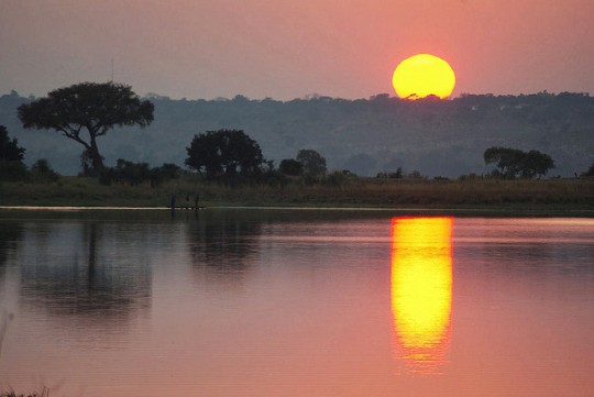 Chobe-River