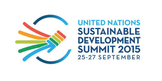 Sustainable development summit live