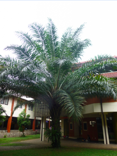 スクリーンショット 2013-04-19 23.16.13