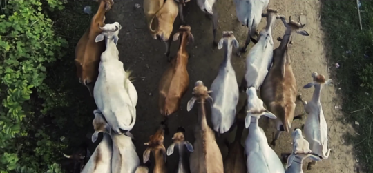 スクリーンショット 2014-09-24 午後4.12.33