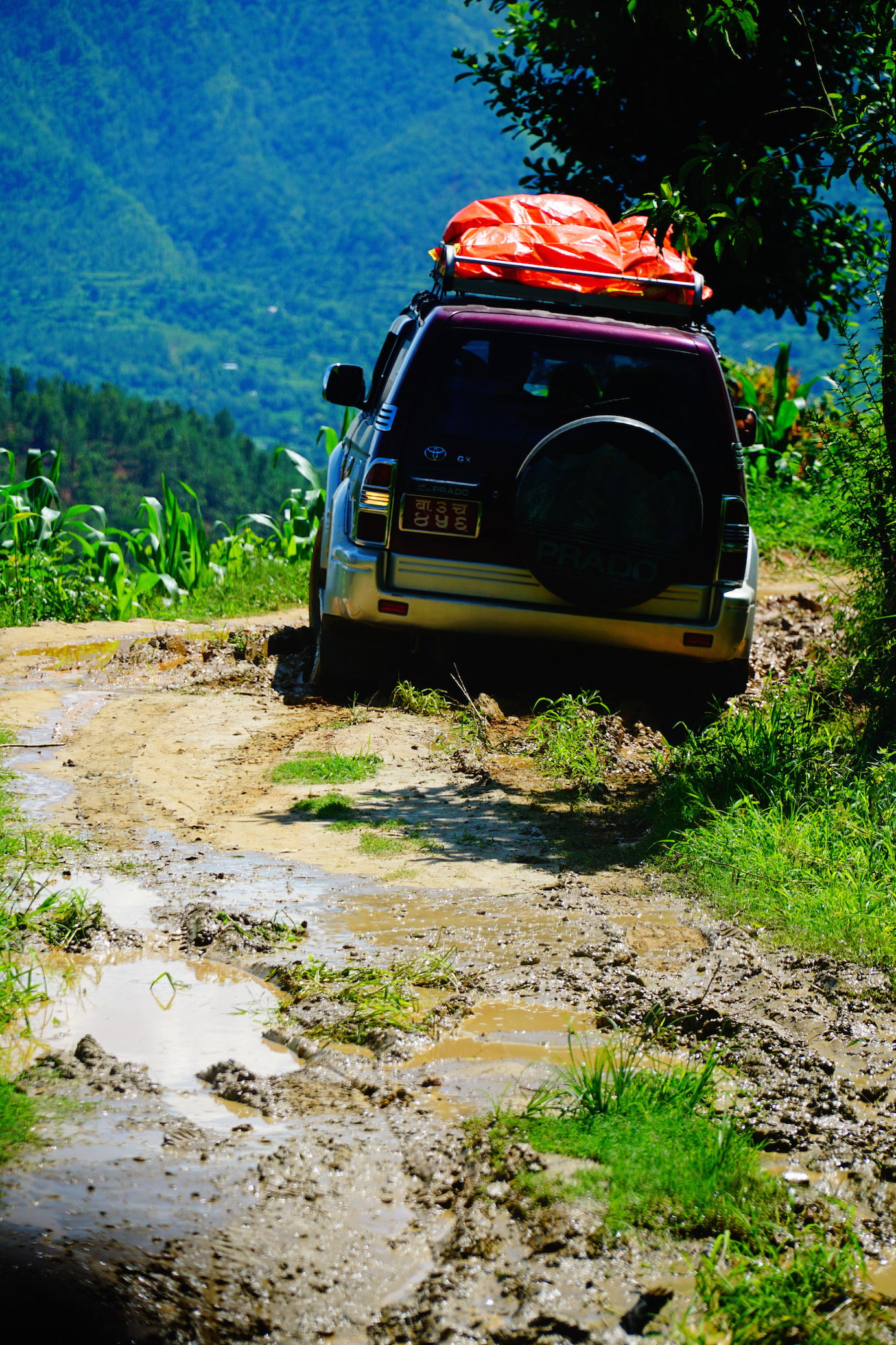 DSC08324 のコピー