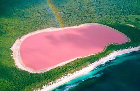 スクリーンショット 2015-11-26 16.29.30